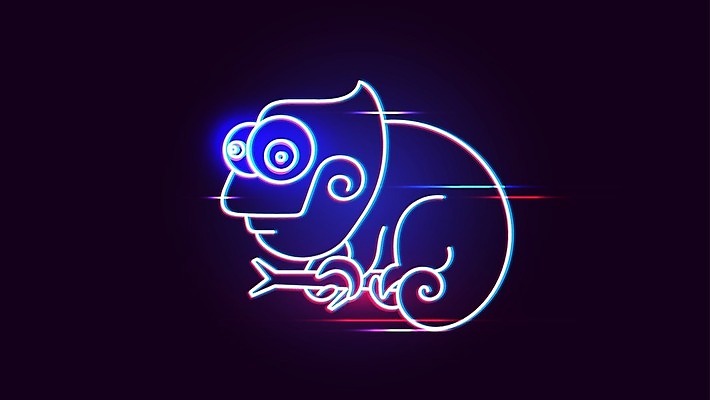 EPS 해외이미지 동물 일러스트 사람없음 네온 카멜레온 해외202008 해외일러스트 파충류 파일형식 벡터