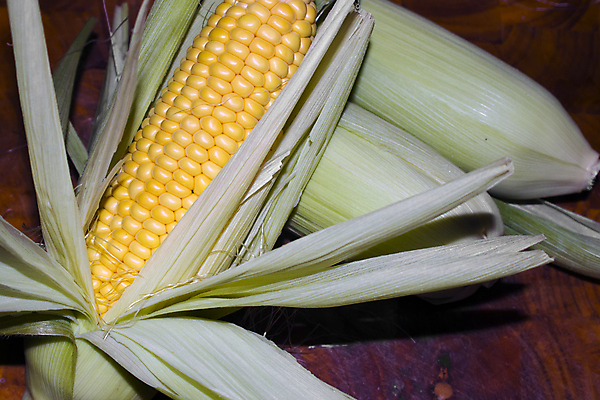 포토 JPG 해외이미지 음식 잎 농업 채소 재료 자연 표면 건강 옥수수 요리 사람없음 초록색 농작물 농장 노란색 수확 껍질 신선 황금 달콤 맛 낟알 시리얼 먹기 유기농 알맹이 날것 귀 팝콘 내추럴 숙성 채식주의자 맛있는 해외202008 해외포토 식물 웰빙 산업 컬러 컨셉 모션 곡류 신체부위 생태계 채식 파일형식