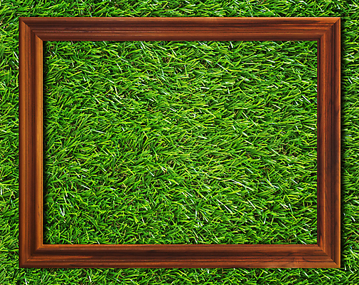 포토 JPG 해외이미지 템플릿 디자인 배너 계절 벽 백그라운드 컨셉 패턴 자연 추상 아이디어 프레임 그림자 미술 잔디 사람없음 목재 그래픽 초록색 유행 정원 봄 공백 수확 신용카드 플랫 오브젝트 그림 유기농 복고 정사각형 위치 현실 해외202008 해외포토 도형 나무 식물 웰빙 컬러 무늬 농업 재료 문화예술 금융 생태계 파일형식