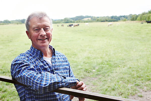 포토 JPG 해외이미지 백인 응시 남자 행복 중년 밭 농업 한명 미소 야외 가로 여름 농장 기댐 가축 작업 소 60대 농부 방목 대문 밭일 세련 해외202008 해외포토 서양인 동물 직업 1 시선 계절 노년 감정 산업 포유류 모션 표정 사람 성인 문 축산업 파일형식