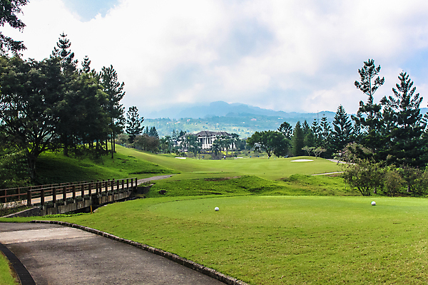 포토 JPG 해외이미지 골프 놀이 주택 풍경 사람없음 초록색 마을 수확 게임 클럽 해외202008 해외포토 컬러 농업 건물 구기 파일형식