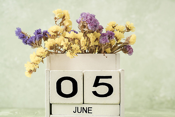 포토 JPG 해외이미지 템플릿 계절 꽃 꽃다발 백그라운드 컨셉 탁자 사람없음 목재 초록색 숫자 노란색 다이어리 보라색 봄 블록 수확 달력 흰색 시간 날짜 계획 6월 연도 큐브 오브젝트 질감 복고 5 월 옛날 오늘 조언 카피스페이스 해외202008 해외포토 나무 식물 문자 컬러 가구 농업 재료 사무용품 공백 파일형식