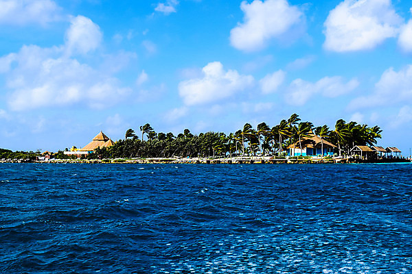 포토 JPG 해외이미지 나무 모래 바다 섬 여행 자연 하늘 휴가 손바닥 풍경 사람없음 야외 물 여름 파란색 야자수 맑음 흰색 휴양지 코코넛 카리브해 이국적 파라다이스 수평선 해외202008 해외포토 자연요소 식물 손 계절 컬러 과일 날씨 장소 생태계 파일형식