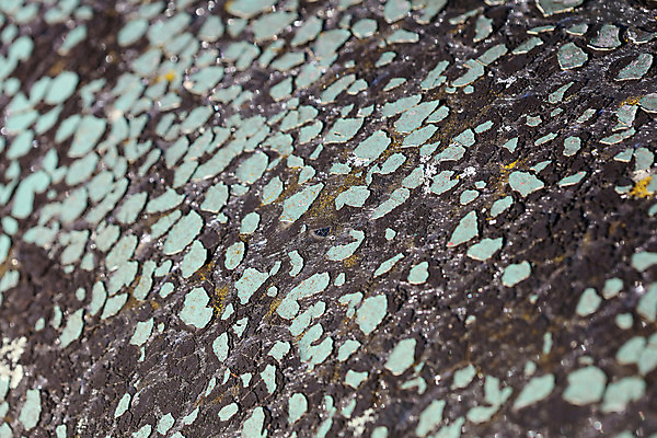 포토 JPG 해외이미지 도로 선 밭 교통시설 표면 날씨 사람 사람없음 야외 세로 노란색 금지 시간 그리기 틈 센터 보행로 아스팔트 각도 다리찢기 교외 깊이 루트 방법 노화 해외202008 해외포토 길 컬러 교통 컨셉 농업 모션 시설 파일형식