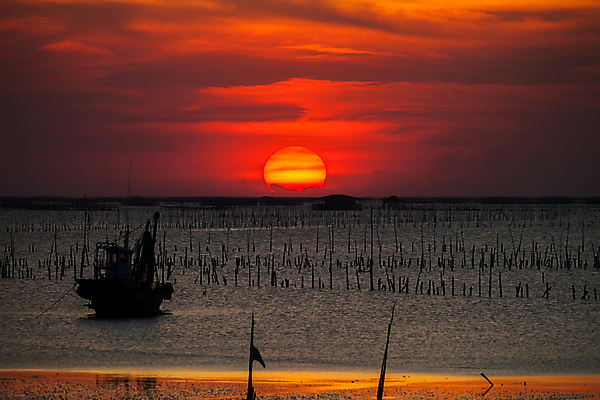 포토 JPG 해외이미지 파도 바다 여행 백그라운드 자연 벽지 하늘 성공 아침 날씨 풍경 사람없음 야외 물 여름 강 컬러풀 햇빛 태양 반사 노란색 일출 환경 힘 일몰 봄 트래킹 에너지 추위 뜨거움 보트 분위기 천국 해외202008 해외포토 주간 자연요소 계절 컬러 컨셉 배_교통 레저 노을 생태계 파일형식