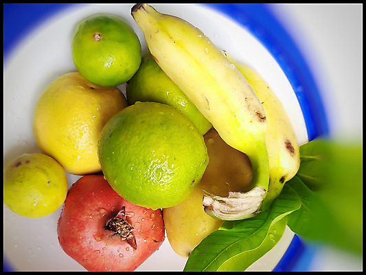 포토 JPG 해외이미지 음식 잎 다이어트 오렌지 과일 재료 자연 딸기 포도 귤 바나나 건강 사람없음 초록색 여름 노란색 보라색 가을 흰색 신선 사발 달콤 맛 사과 멜론 레몬 블루베리 라임 석류 망고 비타민 숙성 천도복숭아 해외202008 해외포토 식물 계절 컬러 컨셉 사기그릇 열대과일 생태계 복숭아 영양소 파일형식