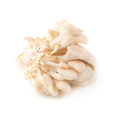 포토 JPG 해외이미지 음식 조각 잎 다이어트 채소 재료 자연 건강 사람없음 초록색 갈색 주방 식사 버섯 흰색 신선 달콤 맛 수프 먹기 가득함 상쾌 유기농 날것 흙더미 내추럴 고립 곰팡이 식용 채식주의자 해외202008 해외포토 식물 웰빙 감정 컬러 컨셉 모션 흙 생태계 채식 파일형식 더미