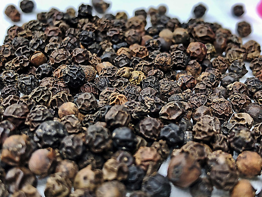 포토 JPG 해외이미지 음식 농업 재료 자연 건조 요리 씨앗 사람없음 갈색 주방 숟가락 검은색 수확 흰색 뜨거움 양념 조미료 사발 맛 약초 허브 향신료 흰배경 유기농 질감 매움 후추 내추럴 보충 고립 해외202008 해외포토 식물 웰빙 산업 컬러 백그라운드 컨셉 수저 풀_식물 사기그릇 생태계 향미료 파일형식