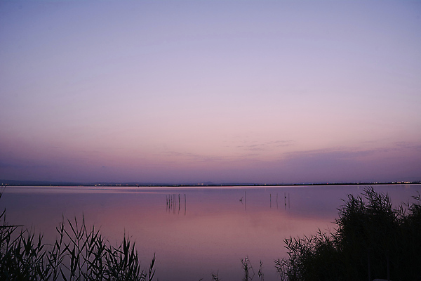 포토 JPG 해외이미지 구름 라이프스타일 공원 호수 바다 줄기 오렌지 자연 조류 낚시 휴가 사람 풍경 사람없음 빨간색 물 여름 태양 노란색 쌓기 평화 웹 일몰 뜨거움 보트 스페인 자주색 왜가리 장어 제비꽃 주말 천국 라일락 석호 내추럴 발렌시아 수평선 해외202008 해외포토 자연요소 식물 동물 계절 공공시설 꽃 유럽 컬러 컨셉 인터넷 배_교통 과일 모션 레저 어류 생활 노을 생태계 파일형식