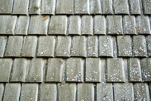 포토 JPG 해외이미지 나무 디자인 벽 백그라운드 패턴 자연 벽지 표면 지붕 추상 바닥 프레임 사람없음 목재 장식 갈색 블록 수확 판넬 얼룩 거친 널 낟알 배열 가득함 타일 책상 질감 복고 정사각형 목공예 결 내추럴 그런지 수목 엘리먼트 옛날 국경 해외202008 해외포토 도형 식물 컬러 가구 무늬 농업 재료 공예 생태계 파일형식