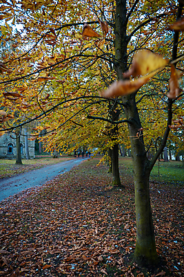 포토 JPG 해외이미지 나무 영어 계절 야생동물 포즈 백그라운드 잎 겨울 자국 자연 날씨 영국 잉글랜드 국립공원 사람 풍경 사람없음 야외 목재 초록색 물 강 갈색 평화 걷기 환경 봄 흐름 가을 시골 개울 급류 숲 홍수 요크셔테리어 수로 서식지 기후변화 삼림지대 해외202008 해외포토 자연요소 식물 동물 문자 공원 유럽 컬러 컨셉 재료 모션 변화 자연재해 테리어 생태계 파일형식