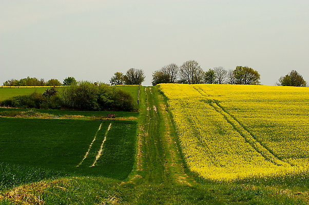 포토 JPG 해외이미지 나무 유럽 도로 길 벽 여행 밭 농업 창문 자국 자연 풍경 사람없음 야외 초록색 농장 노란색 여행객 환경 프랑스 바위 시골 오솔길 장면 지역 내추럴 프랑스어 방법 밭일 선로 그리너리 해외202008 해외포토 식물 문자 나라 산업 컬러 교통시설 사람 돌_바위 생태계 파일형식 트랜드컬러