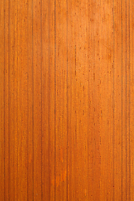 포토 JPG 해외이미지 디자인 벽 가구 백그라운드 패턴 자연 벽지 표면 추상 바닥 프레임 사람없음 내부 목재 장식 갈색 우주 공백 수확 판넬 미술관 낟알 묘사 그림 질감 복고 수목 옛날 해외202008 해외포토 나무 컬러 생활용품 무늬 농업 재료 생태계 파일형식