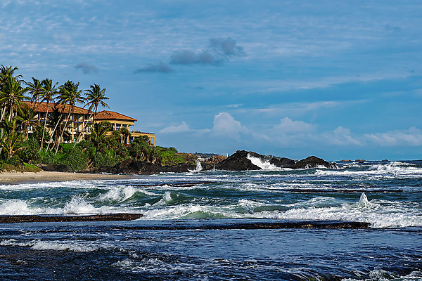 포토 JPG 해외이미지 나무 구름 아시아 모래 파도 바다 여행 자연 하늘 호텔 휴가 휴식 주택 손바닥 풍경 사람없음 야외 초록색 물 여름 파란색 모래사장 햇빛 태양 맑음 침묵 만 뜨거움 서핑 고급 휴양지 분무기 코코넛 내추럴 스리랑카 파라다이스 해외202008 해외포토 자연요소 식물 손 계절 나라 컬러 컨셉 과일 숙소 날씨 건물 소리 장소 수상스포츠 생태계 파일형식