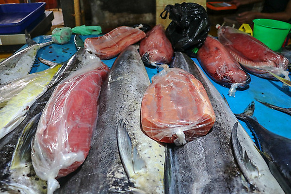 포토 JPG 해외이미지 동물 음식 스포츠 바다 백그라운드 일러스트 자연 낚시 육류 어류 사람없음 야외 초록색 물 파란색 컬러풀 노란색 판매 수중 식사 게임 흰색 신선 잡기 보트 시장 큼 해산물 돌고래 지느러미 어장 대서양 고립 깊이 바하마 소금물 플로리다 해외202008 해외포토 자연요소 컬러 배_교통 식재료 포유류 모션 놀이 레저 미국 수중동물 크기 생태계 파일형식