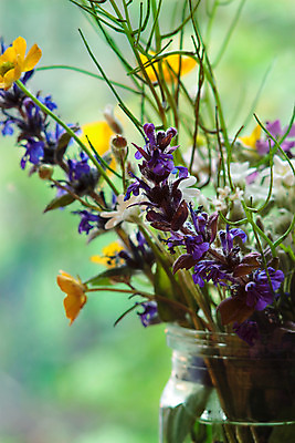 포토 JPG 해외이미지 주간 식물 꽃 분홍색 꽃다발 잎 밭 오렌지 자연 유리 아침 따뜻함 사람없음 초록색 물 파란색 빛 컬러풀 노란색 새싹 꽃병 맑음 침묵 기쁨 들꽃 터치 벚꽃 흰색 신선 항아리 허브 제비꽃 향기 냄새 부드러움 정물화 해외202008 해외포토 자연요소 감정 컬러 농업 과일 재질 날씨 소리 도자기 감각 그림 생태계 파일형식