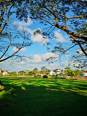 포토 JPG 해외이미지 나무 식물 라이프스타일 계절 공원 백그라운드 잎 밭 자연 하늘 아침 주택 건강 그림자 풍경 잔디 초원 사람없음 야외 초록색 여름 컬러풀 마을 환경 정원 봄 시골 도시 숲 오솔길 언덕 조경 장면 내추럴 뒤뜰 그리너리 해외202008 해외포토 주간 공공시설 길 컬러 농업 건물 생활 생태계 파일형식 트랜드컬러