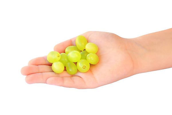 포토 JPG 해외이미지 손 계절 여자 열매 어린이 음식 백그라운드 농업 다이어트 과일 자연 포도 디저트 건강 손바닥 사람없음 가로 초록색 기쁨 수확 흰색 신선 잡기 그룹 달콤 맛 먹기 피부 유기농 부드러움 팔 내추럴 고립 단아함 숙성 해외202008 해외포토 식물 웰빙 감정 산업 컬러 컨셉 모션 사람 신체부위 감각 생태계 파일형식