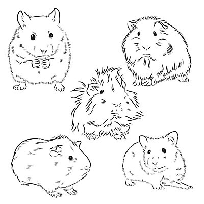 EPS 해외이미지 동물 캐릭터 디자인 행복 선 백그라운드 일러스트 포유류 자연 잉크 털 흑백 미술 그래픽 반려동물 갈색 노란색 검은색 흰색 돼지 쥐 설치류 작음 만화 스케치 그림 복고 다람쥐 판화 무거움 솜털 고립 옛날 해외202008 해외일러스트 일러캐릭터 감정 컬러 문화예술 촬영기법 무게 크기 생태계 파일형식 벡터