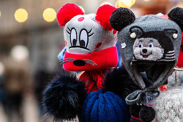 포토 JPG 해외이미지 동물 모자 디자인 옷 계절 행복 얼굴 어린이 밧줄 백그라운드 크리스마스 겨울 날씨 휴가 미소 사람 취미 사람없음 노란색 머리 유행 상점 추위 뜨개질 시장 우아함 오브젝트 기념품 부드러움 내추럴 양모 캡모자 특별함 핸드메이드 스타일 해외202008 해외포토 모자_잡화 잡화 기념일 감정 줄 컬러 컨셉 표정 신체부위 직물 감각 파일형식