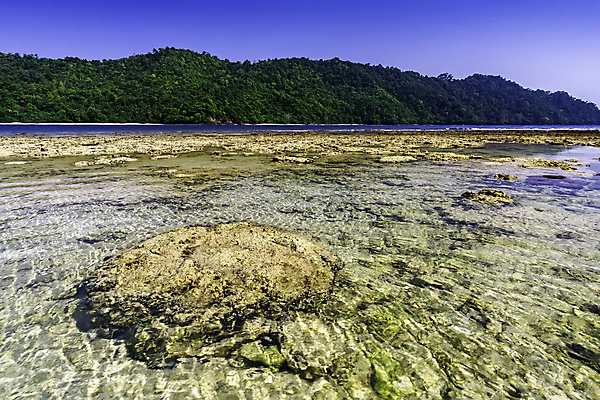 포토 JPG 해외이미지 나무 아시아 파도 바다 여행 백그라운드 자연 하늘 산 풍경 사람없음 야외 가로 초록색 물 여름 파란색 여행객 맑음 시골 숲 언덕 인도네시아 내추럴 파라다이스 해외202008 해외포토 자연요소 식물 계절 나라 컬러 날씨 사람 생태계 파일형식