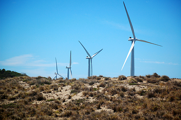 포토 JPG 해외이미지 아시아 과학 여행 바람 사람없음 농장 풍차 에너지 만 프로펠러 공학 해외202008 해외포토 자연요소 교육 나라 농업 날씨 파일형식