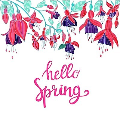 EPS 해외이미지 꽃 분홍색 백그라운드 잎 꽃무늬 일러스트 사람없음 봄 나뭇가지 스타일 해외202008 해외일러스트 나무 식물 계절 컬러 무늬 파일형식 벡터