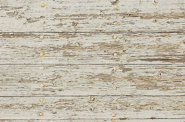 포토 JPG 해외이미지 벽 백그라운드 패턴 자연 표면 날씨 사람없음 목재 회색 수확 흰색 시골 판넬 얼룩 거친 널 질감 스크래치 시들음 내추럴 구식 그런지 수목 옛날 카피스페이스 해외202008 깎기 해외포토 나무 컬러 무늬 농업 재료 모션 공백 생태계 파일형식