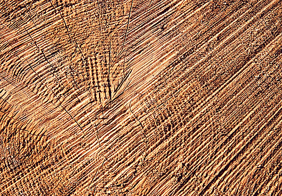 포토 JPG 해외이미지 모양 나무 선 백그라운드 십자가 패턴 부분 자연 추상 프레임 사람없음 목재 갈색 반지 원형 균열 숲 자르기 질감 통나무 잡동사니 내추럴 수목 옛날 노화 해외202008 해외포토 도형 식물 컬러 컨셉 무늬 재료 장신구 모션 생태계 파일형식