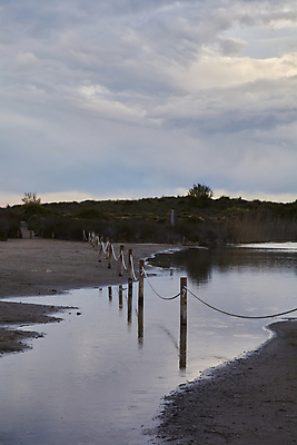 포토 JPG 해외이미지 나무 구름 계절 공원 호수 백그라운드 무지개 오렌지 자연 하늘 아침 풍경 사람없음 야외 목재 빨간색 초록색 물 파란색 빛 강 컬러풀 햇빛 태양 반사 평화 일출 환경 맑음 침묵 일몰 봄 새벽 가을 소나무 황무지 숲 폭풍 내추럴 혼자 해외202008 해외포토 주간 자연요소 식물 공공시설 컬러 컨셉 과일 재료 날씨 노을 소리 생태계 파일형식
