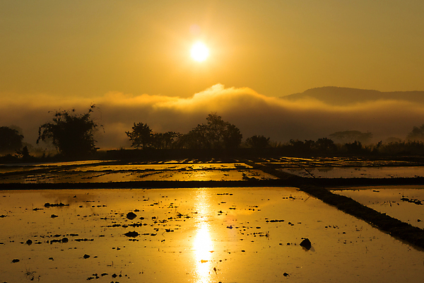 포토 JPG 해외이미지 실루엣 섬 여행 백그라운드 컨셉 밭 오렌지 자연 하늘 밥 추상 휴가 산 손바닥 풍경 사람없음 여름 빛 컬러풀 햇빛 태양 노란색 평화 일출 어둠 황혼 일몰 놀람 안개 바위 황금 고독 저녁 코코넛 내추럴 광 이국적 파라다이스 혼자 수평선 해외202008 해외포토 자연요소 손 계절 감정 음식 컬러 무늬 농업 과일 날씨 촬영기법 표정 노을 돌_바위 야간 생태계 파일형식