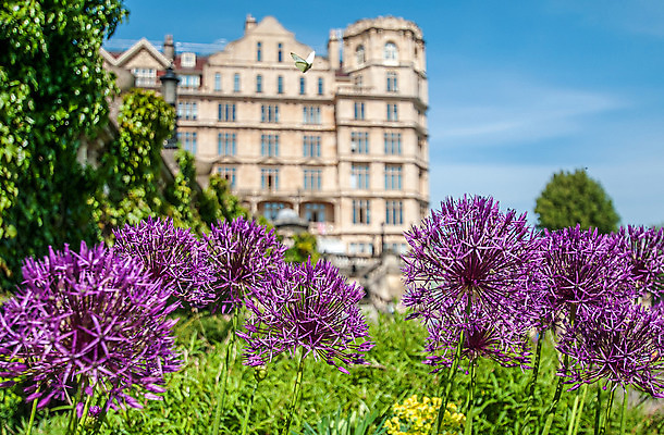 포토 JPG 해외이미지 사람없음 해외202008 해외포토 파일형식