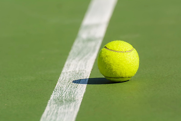 포토 JPG 해외이미지 라이프스타일 선 스포츠 백그라운드 공 놀이 건강 사람없음 야외 초록색 여름 세트 운동 경쟁 테니스 게임 흰색 라켓 그물 닫기 법정 해외202008 해외포토 계절 스포츠용품 컬러 컨셉 모션 생활 구기 파일형식