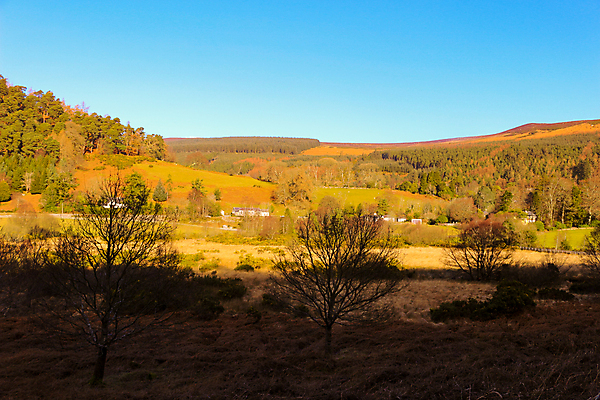 포토 JPG 해외이미지 식물 구름 계절 공원 도로 길 선 여행 오렌지 자국 자연 산 거리 풍경 사람없음 야외 초록색 갈색 계곡 산책 하이킹 바위 시골 거친 고속도로 황무지 구부린 습지 정상 땅 아일랜드 내추럴 방법 변소 전국 수평선 해외202008 해외포토 자연요소 공공시설 유럽 컬러 과일 교통시설 모션 레저 휴식 돌_바위 생태계 파일형식
