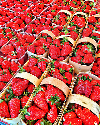 포토 JPG 해외이미지 딸기 사람없음 바구니 전시 시장 가득함 담기 해외202008 해외포토 과일 모션 파일형식