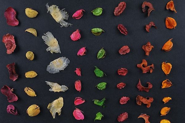 포토 JPG 해외이미지 전통 계절 백그라운드 잎 크리스마스 자연 주택 건조 사람없음 장식 빨간색 컬러풀 보라색 축제 활발 펼침 소나무 사발 닫기 혼합 자주색 향수 향기 솔방울 진홍색 아로마테라피 원뿔 강렬 꼬투리 해외202008 해외포토 도형 나무 식물 기념일 컬러 컨셉 모션 건물 화장품 사기그릇 생태계 냄새 테라피 파일형식