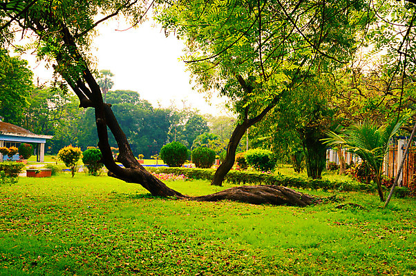 포토 JPG 해외이미지 모양 나무 식물 계절 유럽 잎 자연 사람 잔디 초원 사람없음 야외 여름 울타리 햇빛 정원 봄 가을 전원 농촌 큼 원예 조경 삼림지대 해외202008 해외포토 나라 취미 담장 태양 시골 전기에너지 숲 크기 생태계 파일형식