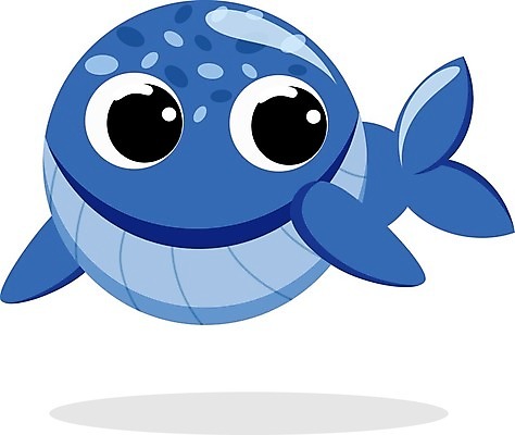 EPS 해외이미지 동물 캐릭터 디자인 행복 야생동물 일러스트 자연 동물원 미술 그래픽 컬러풀 원형 플랫 눈동자 만화 고래 고립 해외202008 우호적 해외일러스트 일러캐릭터 도형 감정 컬러 컨셉 포유류 문화예술 수중동물 눈 생태계 안구 파일형식 벡터