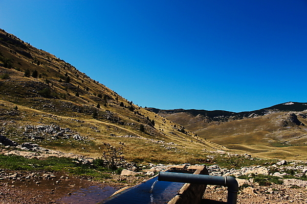 포토 JPG 해외이미지 동물 도로 여행 백그라운드 밭 자연 산 풍경 사람없음 야외 목재 옆모습 초록색 물 가축 시골 황무지 소 땅 버리기 언덕 통나무 먼지 땅바닥 절정 해외202008 해외포토 자연요소 나무 길 뷰포인트 컬러 농업 재료 포유류 교통시설 모션 바닥 생태계 파일형식