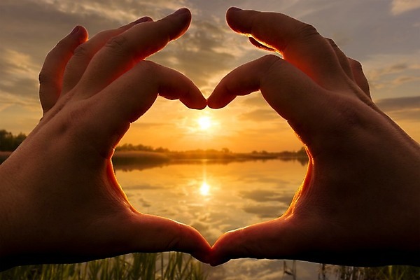 포토 JPG 해외이미지 손 호수 풍경 신체부위 햇빛 반사 일몰 풀 감성 손하트 해외202008 해외포토 식물 컨셉 사람 손짓 태양 노을 파일형식