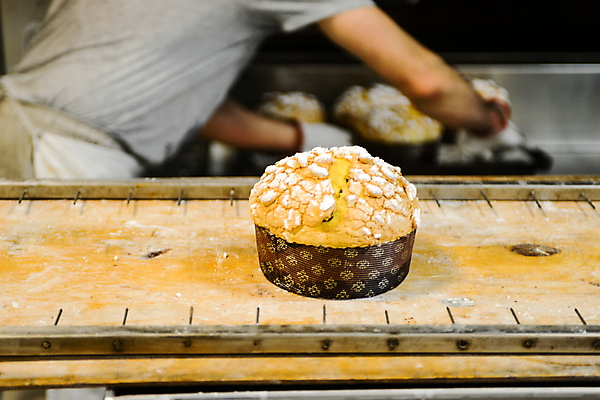 포토 JPG 해외이미지 전통 계절 문화 음식 빵 크리스마스 겨울 휴가 디저트 요리 사람없음 장식 케이크 주방 축제 어둠 이탈리아 빵집 껍질 흰색 축하 신선 이탈리아음식 오븐 달콤 맛 12월 가루 굽기 반죽 건포도 밀라노 페스츄리 맛있는 해외202008 해외포토 기념일 유럽 컬러 컨셉 포도 서양음식 상점 가전제품 날짜 구이 건과일 파일형식