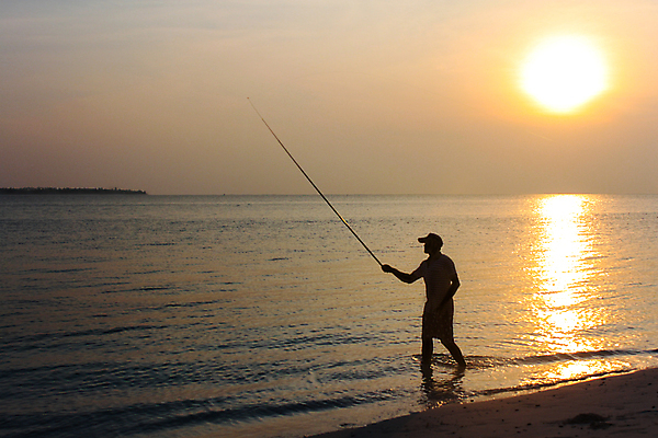 포토 JPG 해외이미지 라이프스타일 실루엣 호수 모래 스포츠 바다 오렌지 자연 하늘 아침 낚시 휴식 그림자 어류 사람없음 야외 물 태양 일출 어둠 일몰 연못 막대기 황금 어부 낚시꾼 마법 해외202008 해외포토 주간 자연요소 직업 컨셉 과일 레저 촬영기법 생활 노을 수중동물 생태계 파일형식