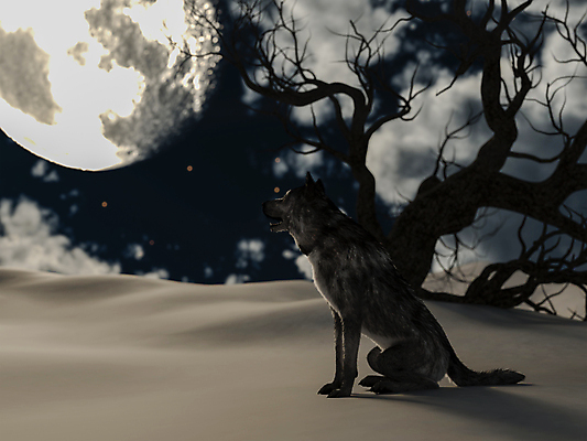 포토 JPG 해외이미지 나무 동물 실루엣 별 겨울 일러스트 자연 하늘 동화 생물 그림자 풍경 사람없음 빛 3D 얼음 어둠 할로윈 추위 분노 달 야간 무서움 달빛 서리 육식동물 공상 공격적 오싹 해외202008 해외포토 자연요소 식물 계절 감정 컨셉 촬영기법 디지털합성 생태계 파일형식