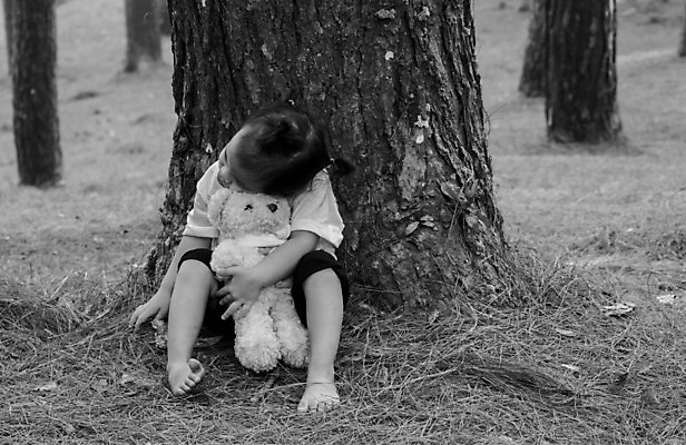 포토 JPG 해외이미지 나무 백인 라이프스타일 손 공원 여자 교육 감정 도로 어린이 백그라운드 컨셉 가족 포옹 자연 휴식 한명 사람 동양인 야외 목재 초록색 걷기 환경 탐험 표현 잡기 소나무 숲 발견 내추럴 혼자 해외202008 해외포토 서양인 식물 1 공공시설 길 컬러 재료 관계 교통시설 안기 모션 인종 생활 신체부위 생태계 파일형식