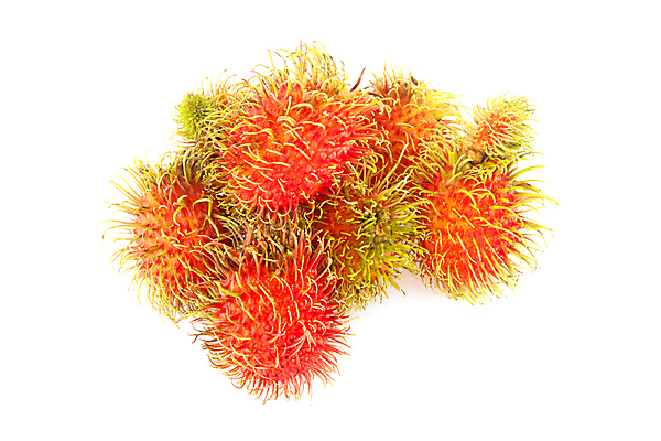 포토 JPG 해외이미지 식물 음식 백그라운드 2 다이어트 과일 자연 디저트 건강 사람없음 빨간색 세트 컬러풀 활발 흰색 신선 그룹 달콤 다발 먹기 오브젝트 유기농 내추럴 고립 숙성 채식주의자 맛있는 해외202008 해외포토 웰빙 컬러 컨셉 모션 맛 생태계 채식 파일형식