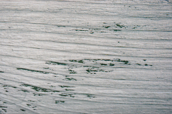 포토 JPG 해외이미지 나무 디자인 벽 백그라운드 패턴 자연 벽지 탁자 표면 날씨 추상 바닥 주택 사람없음 내부 목재 장식 빛 갈색 어둠 공백 수확 흰색 시골 소나무 판넬 거친 널 정상 천 책상 질감 복고 내추럴 그런지 수목 옛날 파케트 해외202008 해외포토 식물 컬러 가구 무늬 농업 재료 건물 직물 생태계 파일형식