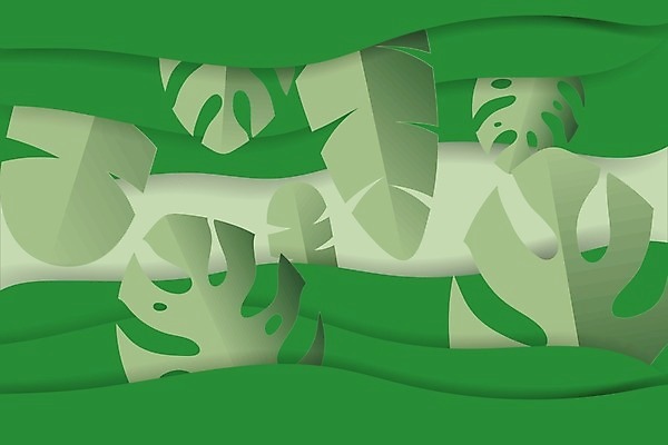 EPS 해외이미지 모양 디자인 종이 백그라운드 컨셉 잎 일러스트 바나나 미술 초록색 여름 흰색 그늘 자르기 심플 스타일 미니멀리스트 해외202008 해외일러스트 식물 계절 컬러 과일 모션 문화예술 파일형식 벡터