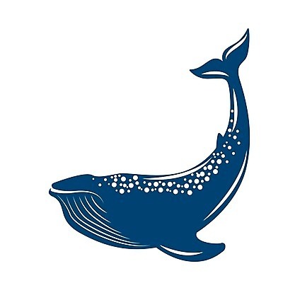 EPS 해외이미지 동물 디자인 바다 일러스트 포유류 자연 물 수중 수영 플랫 심볼 고래 대륙 그림 고립 동물상 생태학 해외202008 해외일러스트 자연요소 교육 조형물 수중동물 수상스포츠 생태계 파일형식 벡터
