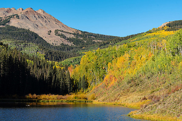 포토 JPG 해외이미지 나무 구름 계절 잎 오렌지 하늘 날씨 산 풍경 경사 사람없음 목재 빨간색 초록색 파란색 컬러풀 태양 노란색 가을 흰색 시골 소나무 황금 씻기 은색 숲 언덕 먼지 나무껍질 드라마 멀리 통과 콜로라도 화강암 해외202008 해외포토 자연요소 식물 컬러 과일 재료 미국 청결 껍질 암석 파일형식