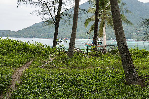 포토 JPG 해외이미지 나무 식물 공원 아시아 모래 바다 섬 여행 백그라운드 태국 자연 하늘 휴가 휴식 산 손바닥 동양인 풍경 사람없음 야외 초록색 물 여름 파란색 보트 숲 내추럴 파라다이스 해외202008 해외포토 자연요소 손 계절 공공시설 나라 컬러 컨셉 배_교통 인종 생태계 파일형식